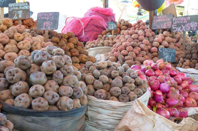 Diferentes variedades de patatas en un mercado peruano. Foto por LoggaWiggler de Pixabay.