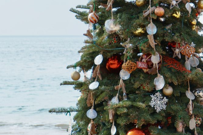 Christmas tree at the beach. Photo by Jacob Padilla on Unsplash