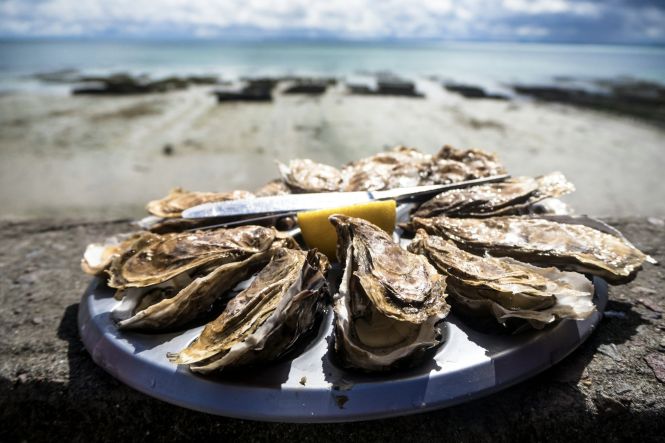  Cancale Oysters. Photo by Tommaso Cantelli on Unsplash 