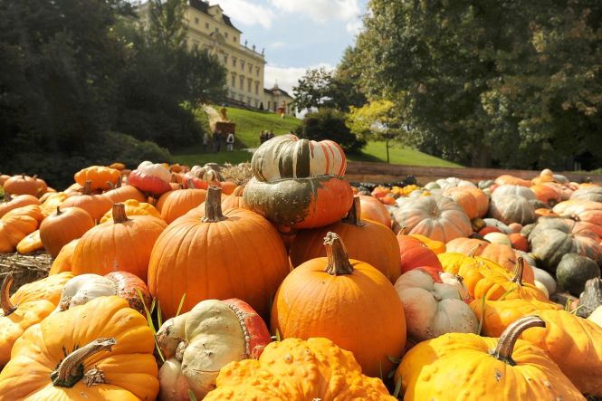 Pumpkin Festivals in Ludwigsburg. Photo from https://www.facebook.com/visitludwigsburg/