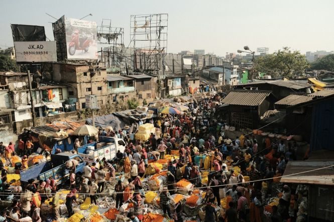 Kolkata. Flower market. Photo by Austin Curtis on Unsplash 