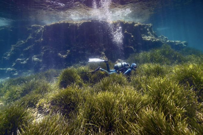 Parque Natural de Ses Salines. Foto de www.facebook.com/turismoformentera