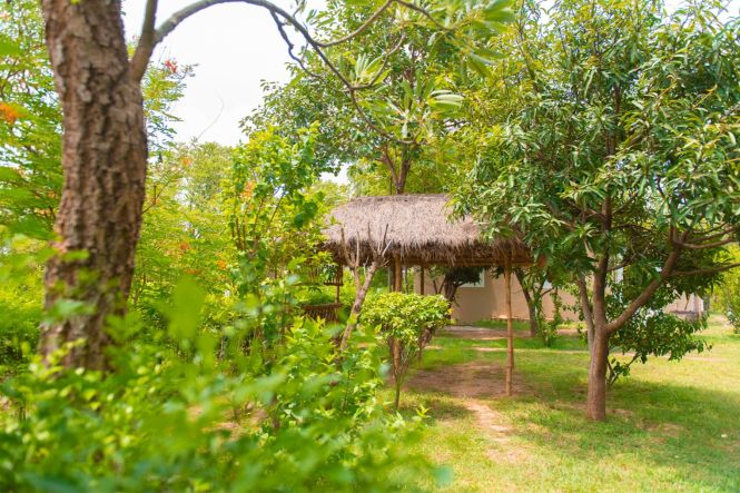  Sonajhuri Forest Homestay. Photo from https://www.facebook.com/sonajhurifhs