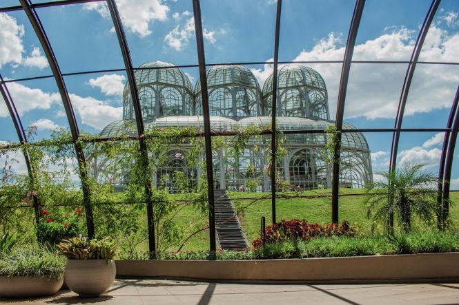 Jardim Botânico de Curitiba. Foto: Isabella Proença, Unsplash