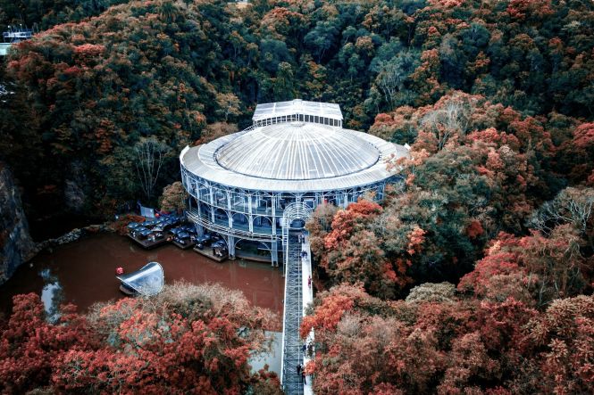 Ópera de Arame, obra que mistura perfeitamente com a natureza. Foto: Renato, Unsplash