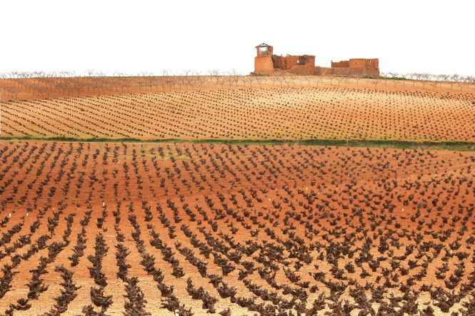 Campos de aromas y sol: el campo espa&ntilde;ol en todo su esplendor. Foto de Peter Muscutt en Unsplash